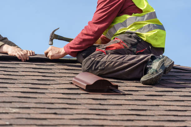 Best Roof Waterproofing Services  in Romulus, MI