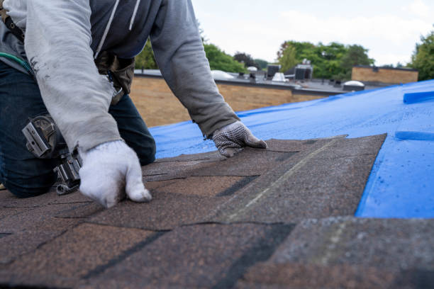 Best Metal Roofing Contractor  in Romulus, MI