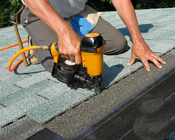 Best Roof Maintenance Services  in Romulus, MI