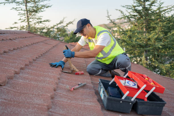 Best Commercial Roofing Services  in Romulus, MI
